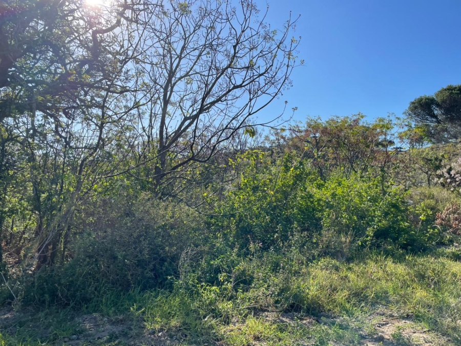 0 Bedroom Property for Sale in Bathurst Eastern Cape